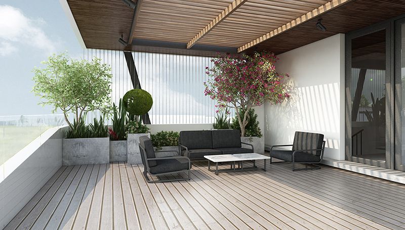 lựa chọn cây trồng cho tiểu cảnh sân vườn mini